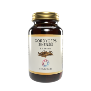 Cordyceps Sinensis