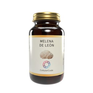 Melena de León 500mg. + Vitamina C